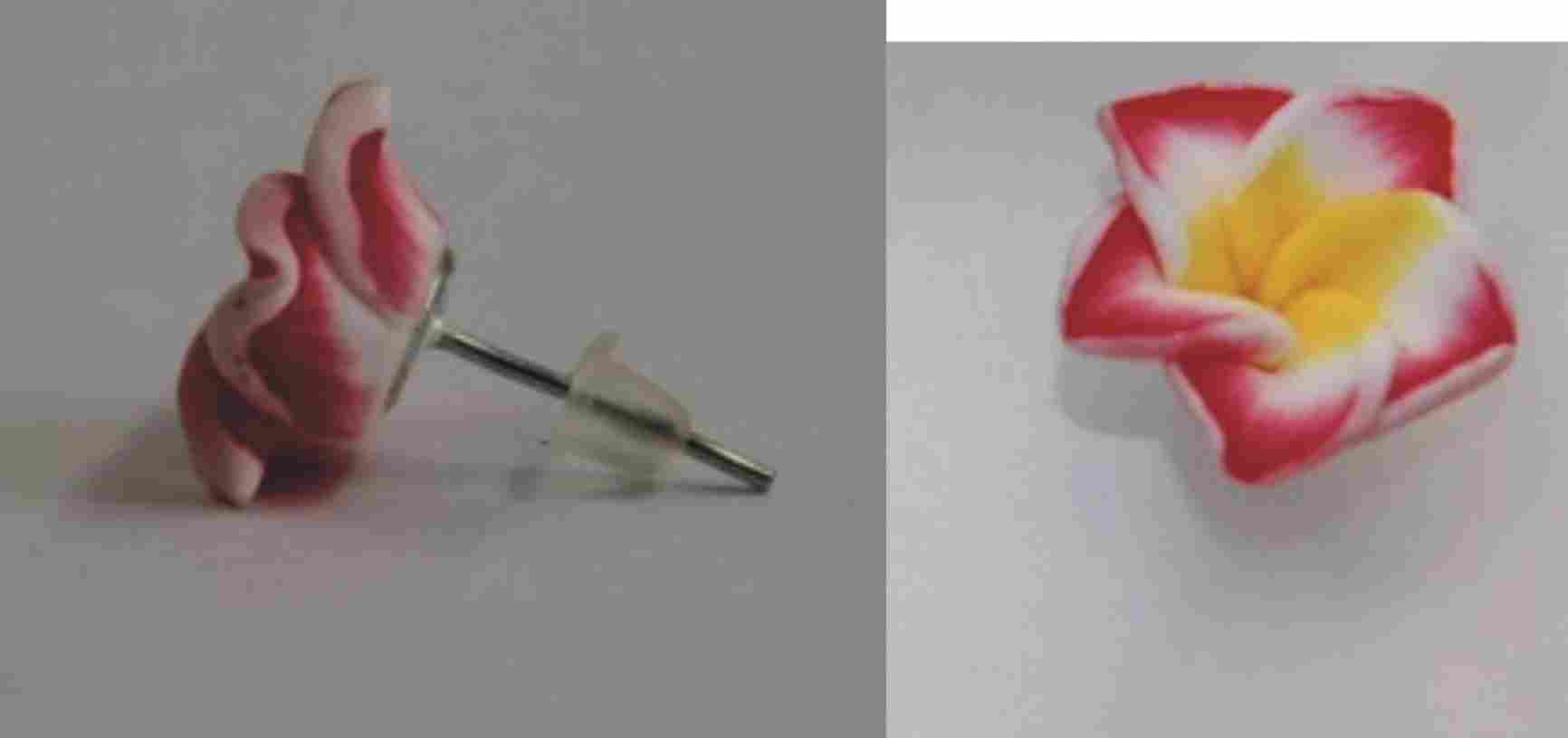 ohrstecker-rot Blüten Ohrstecker rot