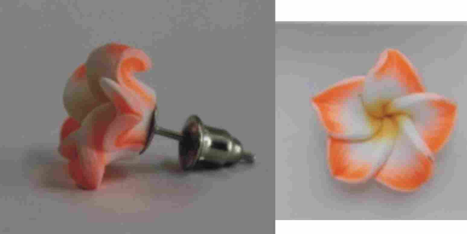 ohrstecker-orange Blüten Ohrstecker orange